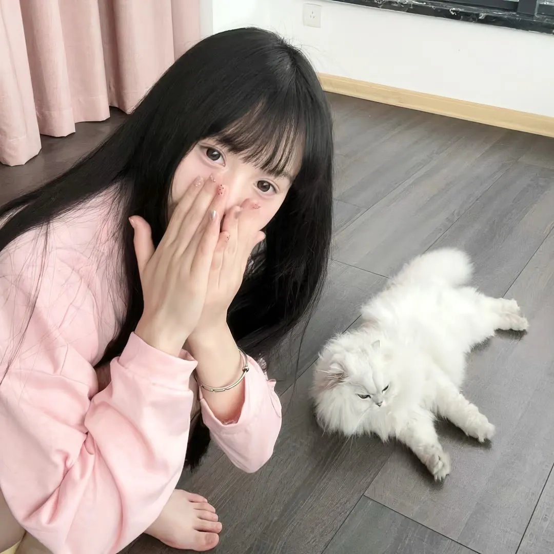 丛林小屋